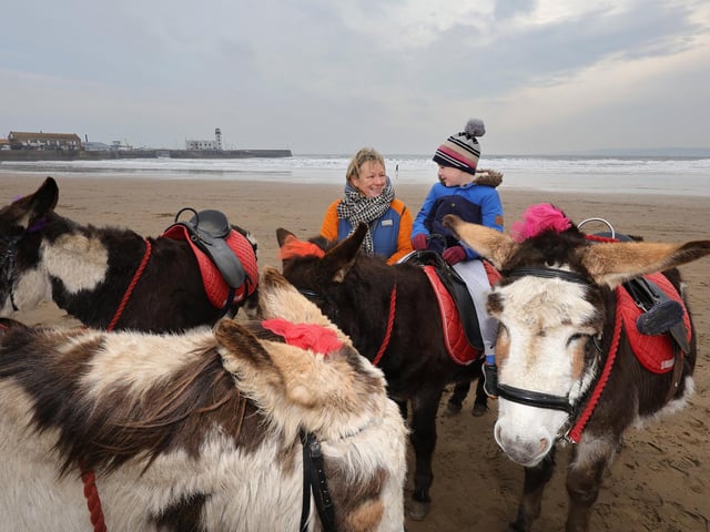 Enjoying a chilly donkey ride