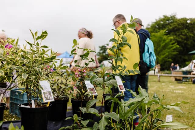 Scampston Walled Garden is holding its annual plant fair.