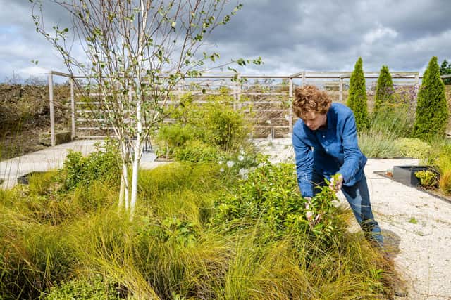 Following the prestigious event the garden will be relocated to Raines Retreat in Allerston.