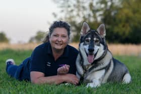 Angela Day is issuing this urgent advice to help dog owners - Animal News Agency