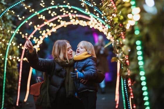 The Winter Wonderland will have a brand new route and theme this year.
