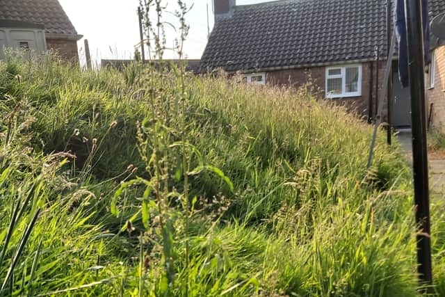 The state of the uncut grass at Saxon Road, Whitby.