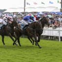 The open days gives visitors the chance to meet some of the stars of the turf