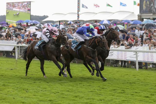 The open days gives visitors the chance to meet some of the stars of the turf