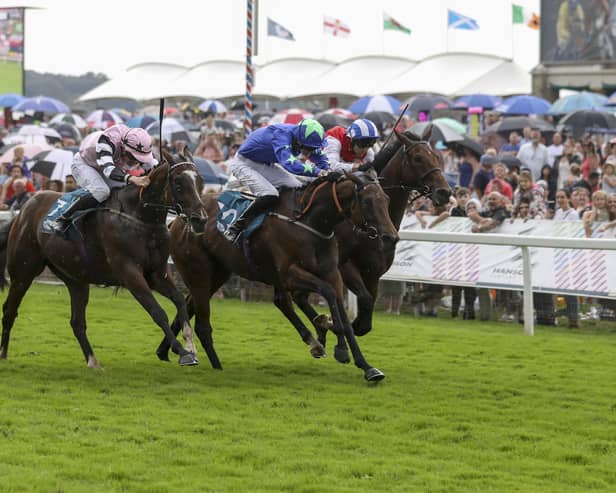 The open days gives visitors the chance to meet some of the stars of the turf