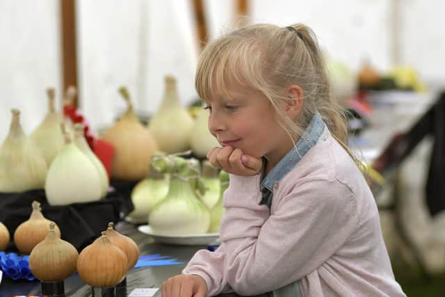 Poppy Leck enjoys the produce display at Egton Show.
picture: Richard Ponter