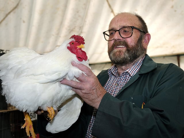 Bob Jackson with his Wyandotte.