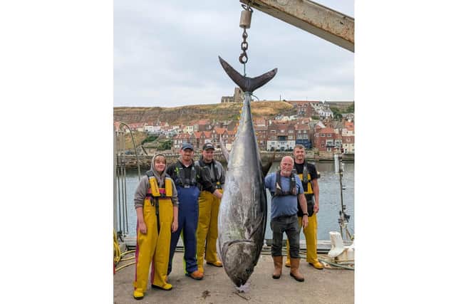 A teenager was part of a crew who landed a giant 338kg (740 lbs) Bluefin Tuna in Whitby for the first time in 90 years. Image: 54 North Maritime Training/SWNS
