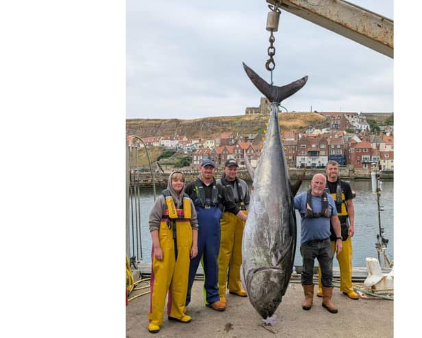 A teenager was part of a crew who landed a giant 338kg (740 lbs) Bluefin Tuna in Whitby for the first time in 90 years. Image: 54 North Maritime Training/SWNS