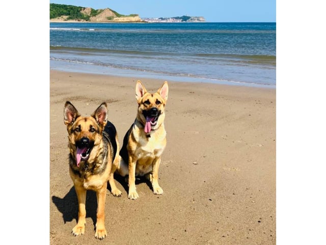 Baylie and Willow at Cayton Bay!