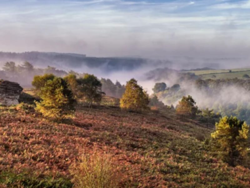 The British Gravel Championships will be taking place at Dalby Forest from September 12- 14. Get ready for an adrenaline-fuelled weekend at the British Gravel Championships – the ultimate test of grit, skill and stamina as the country’s best gravel racers go head-to-head for the coveted title. For 2025, the Championships take place at Dalby Forest, nestled on the edge of the North York Moors National Park. Watch riders push their limits across the demanding terrain over multiple laps, whether you're cheering on the Elite contenders chasing glory or competing yourself. Spectators and supporters can enjoy the full festival experience too, with live music, delicious food and drink, family friendly activities, inspiring panel talks, shakeout rides, and soak up the buzz of the expo and demo village.