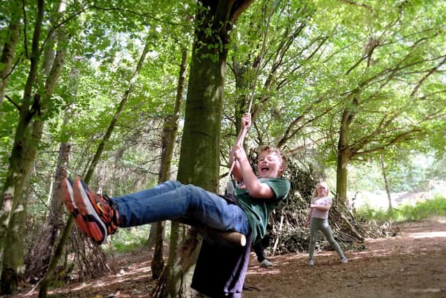 Zach enjoys the tree swing. Photo:Richard Ponter