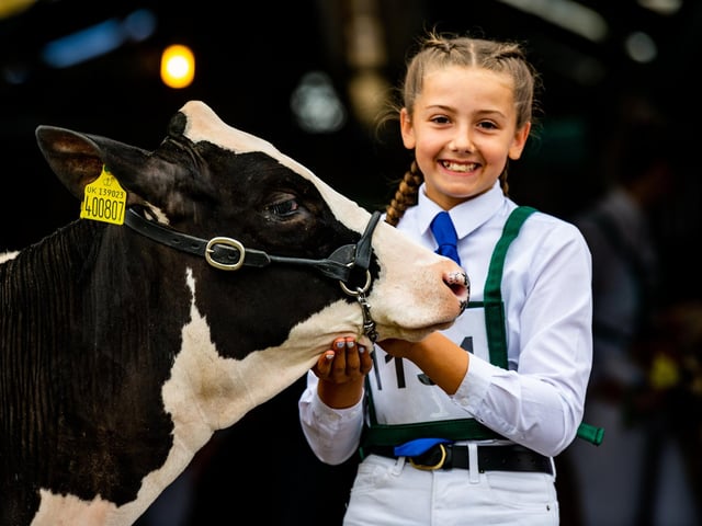 Izzy Lee, aged 12, of Raskelf, near Easingwold, showing affection with her young Holstein calf 'Lambda A Harley' from Crystalclear Holsteins before taking part in the Dairy Young Handlers Class