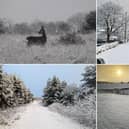 Our talented readers took these gorgeous snowy pictures today - check them out below!