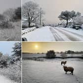 Our talented readers took these gorgeous snowy pictures today - check them out below!