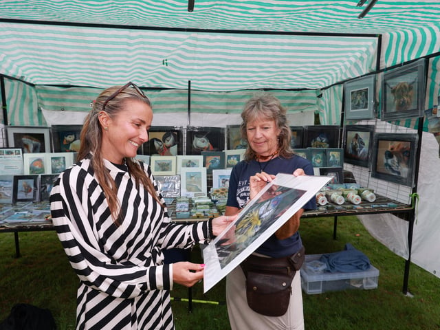 Emma Ring views the work of Caz Pring at one of the stalls.