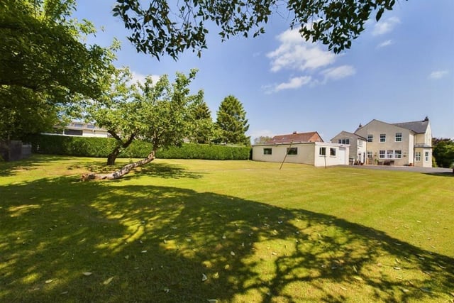 Looking across the expanse of lawned garden towards the house.