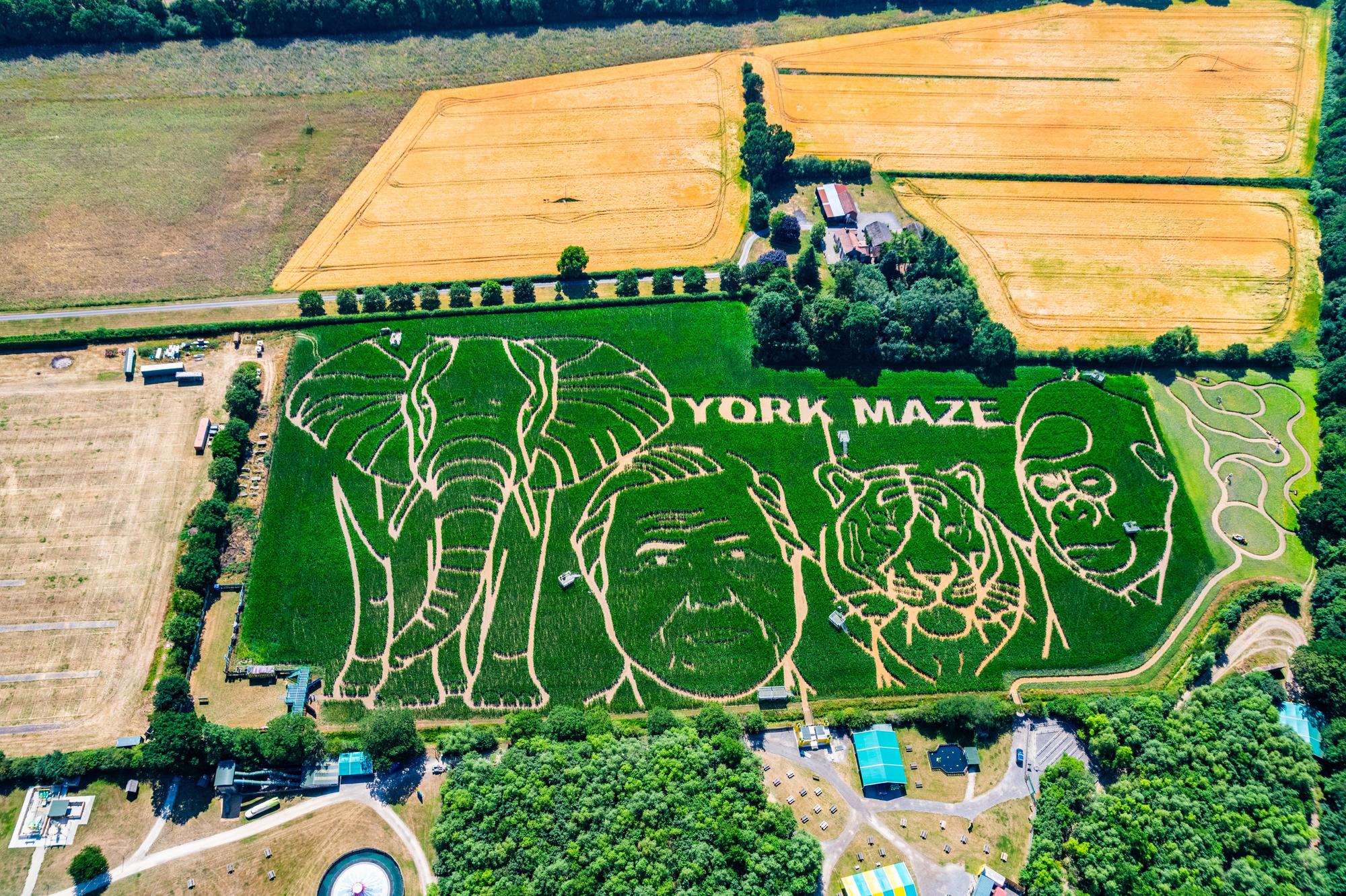 This year's giant design celebrates the 100th birthday of Sir David Attenborough.