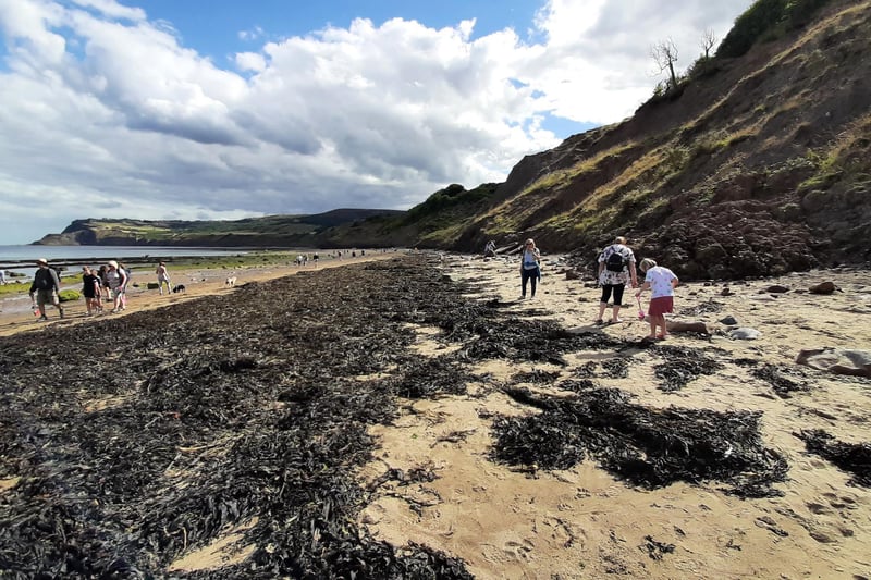 Robin Hood's Bay beach is a perfect for exploring on a warm day.
picture: Duncan Atkins