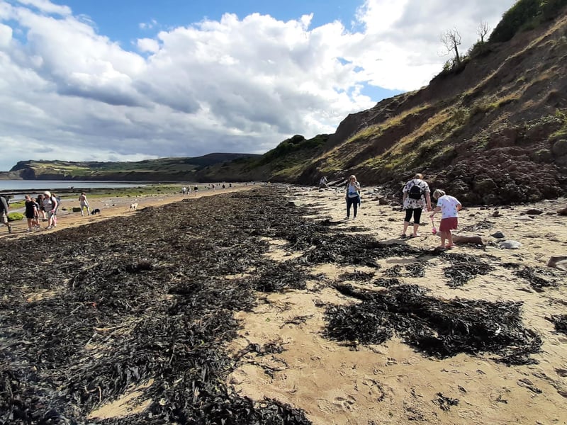 Robin Hood's Bay beach is a perfect for exploring on a warm day.
picture: Duncan Atkins