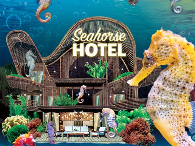 The Seahorse Hotel event takes place between Saturday, February 10 and Sunday, February 25 at SEA LIFE Scarborough and will allow families to get up close to these incredible creatures and learn all about them and find out how you can help keep them safe.