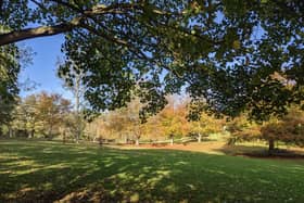 An appeal has been launched to find the two people involved in an incident where a dog was kicked in the face at Sewerby Park.