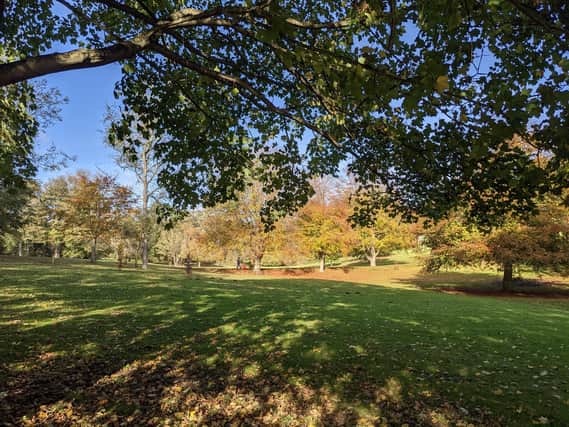 An appeal has been launched to find the two people involved in an incident where a dog was kicked in the face at Sewerby Park.