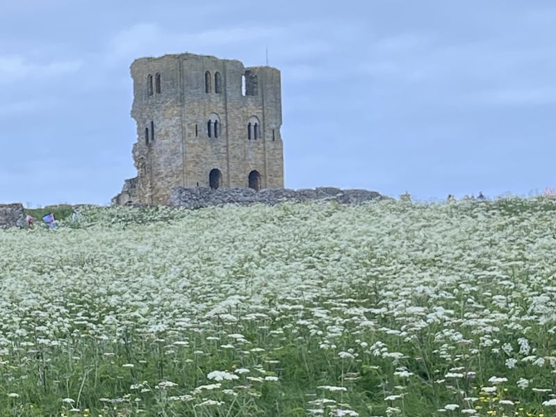 Scarborough Castle grounds, by Barbara Bussey.
