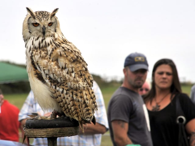 Filey Festival of Flying at the country park. picture by Andrew Higgins
