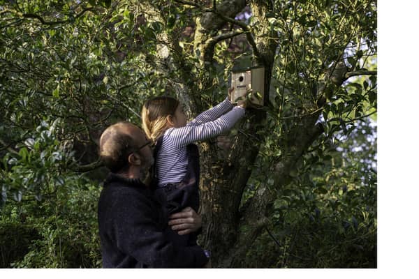 Build a bird pox to encourage wildlife