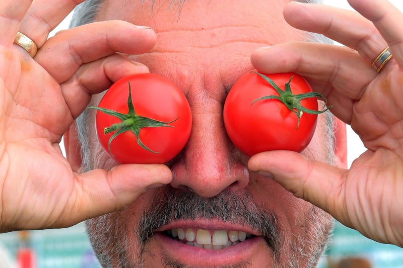 Danby Show is on August 14 - pictured, Steve Wright has eyes on the prize with his tomatoes at the 2023 show.
picture: Richard Ponter