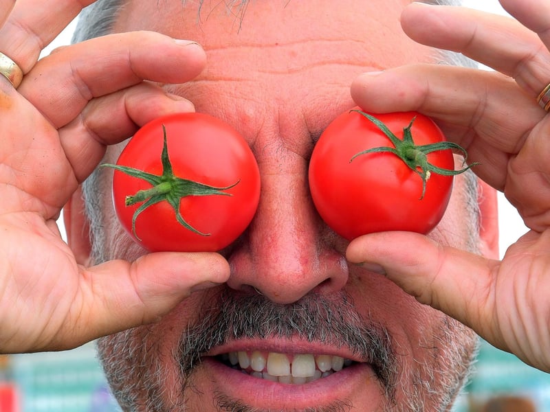 Danby Show is on August 14 - pictured, Steve Wright has eyes on the prize with his tomatoes at the 2023 show.
picture: Richard Ponter