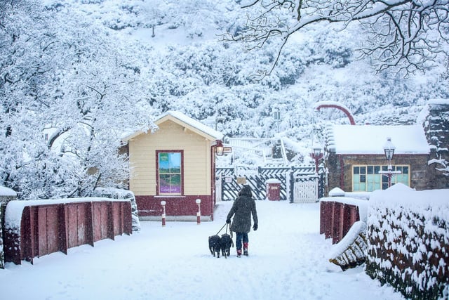Take your little ones on a snowy day, if it's safe to do so, and enjoy a magical day out!