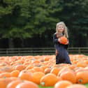 Tickets are now on sale for Halloween celebrations at North Yorkshire’s Stockeld Park