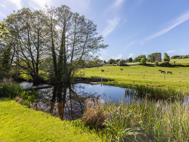 Horses graze at the far side of the river, in front of the ruins of Ayton Castle.