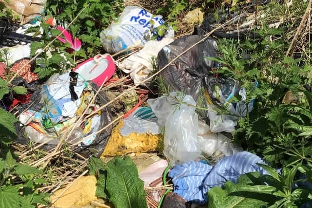 Emily Scurrah admitted at court that she had paid two men to take away her waste.