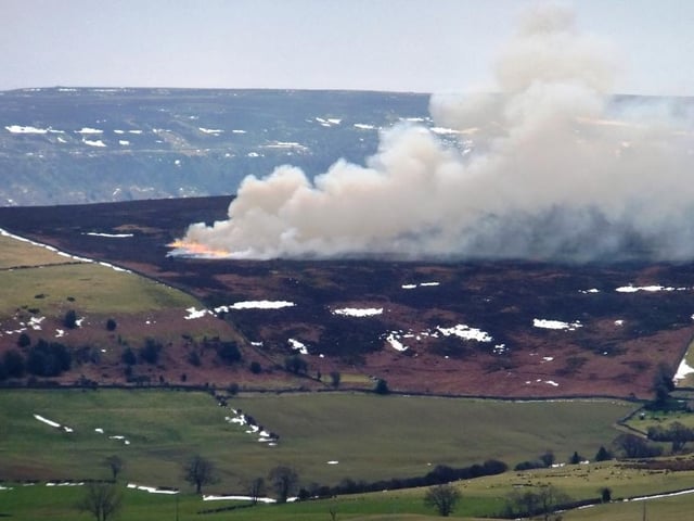 Heather burning on Danby Rigg.