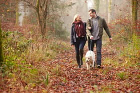 Walks are an essential part of a dog's daily routine - it stimulates them mentally, helps them physically and it’s also a chance for them to socialise with other dogs