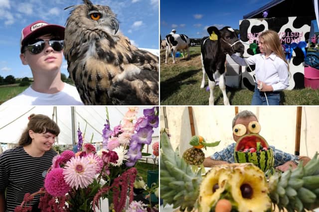 All the fun of Danby Show 2024.