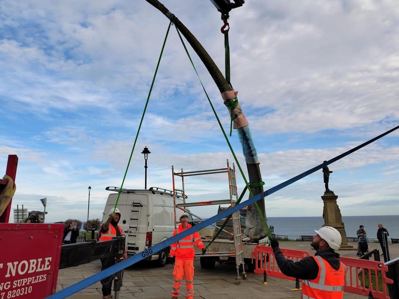 The bones being removed from the cliff.