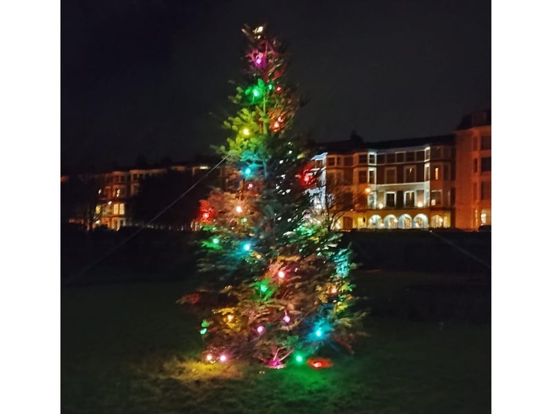 This Scarborough outdoor Christmas tree display is covered in colourful lights.