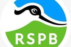 May is a fabulous month here on the cliffs at RSPB Bempton.