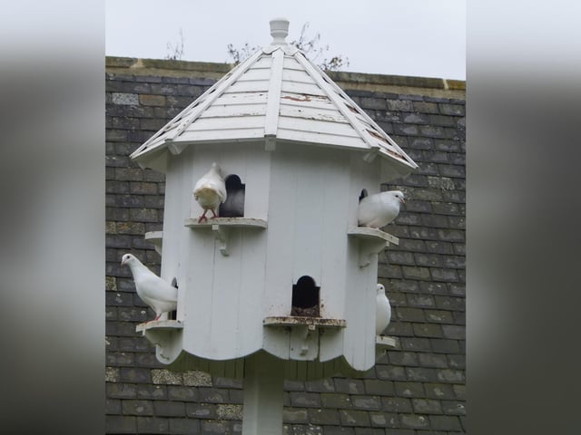 Dovecote, Danbydale.