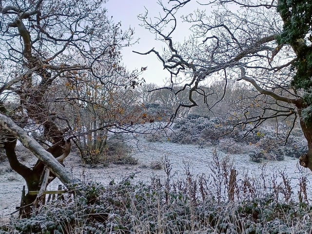 Throxenby Mere looks like a winter wonderland, by Jennifer Prior.