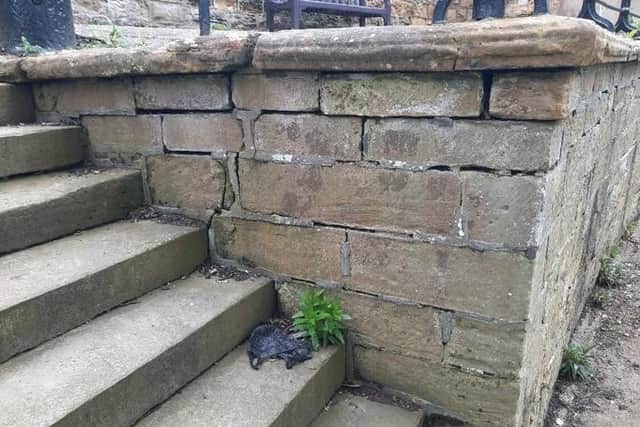 Cracks and stone displacement at Scarborough Museum steps. picture: North Yorkshire Council