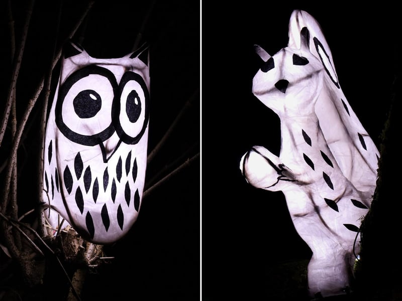 A gorgeous owl and squirrel enjoying the night!