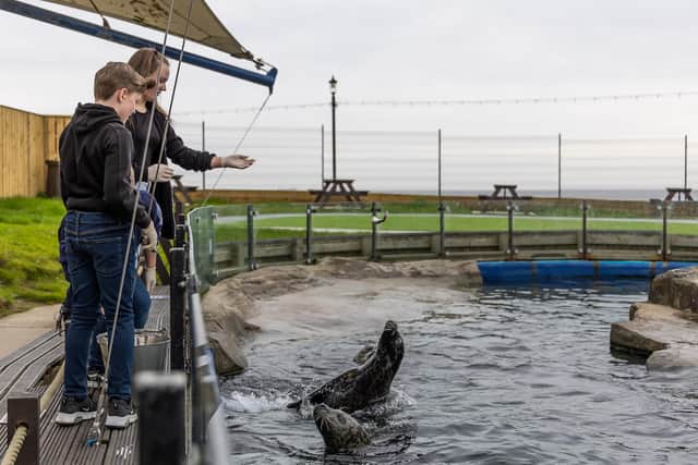 Sea Life Scarborough and Yorkshire Coast BID have launched a Seal of Approval art competition.