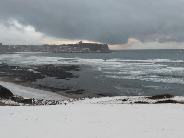 Winter picture with overcast sky.