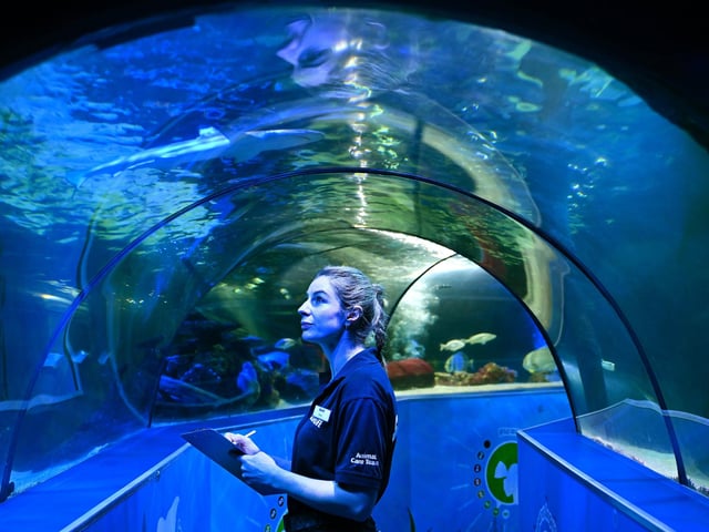 Estelle in the underwater tunnel.