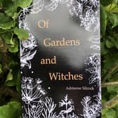 Of Gardens and Witches by Adrienne Silcock.